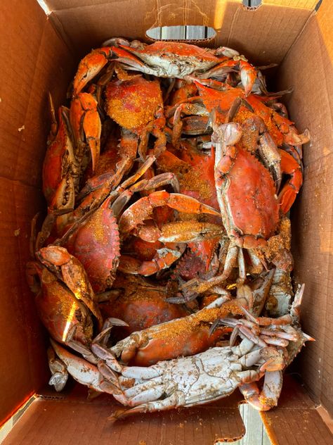 Blue Crab Boil, Crab Aesthetic, Blue Crab Recipes, Crab Feast, Maryland Blue Crab, Blue Crabs, Maryland Crabs, Crab House, Cooking The Perfect Steak