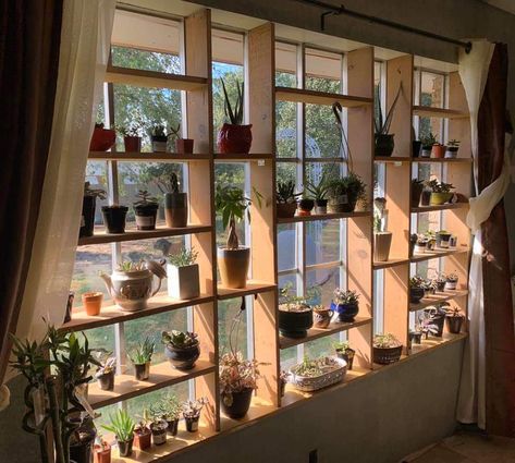 Around The Window Decor, Wooden Window Plant Shelf, Clever Window Coverings, Sliding Door Plant Shelf, Plant Window Set Up, Indoor Window Shelves, Boho Room With Plants, Picture Window Plant Ideas, Picture Window Plant Shelf