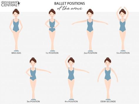 Dancewear Central Ballet Arm Positions, Ballet Games, Ballet Basics, Beginner Ballet, Ballerina Poses, Ballet Shows, Ballet Practice, Ballet Positions, Toddler Ballet