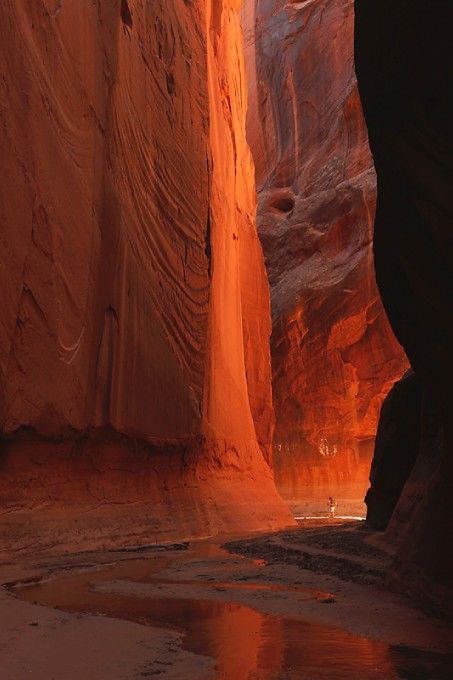 Dsesertttt Buckskin Gulch, Paria Canyon, Fairy Queen, Arizona Travel, Environment Design, Nature Landscape, Pretty Places, Fantasy Landscape, Places To See