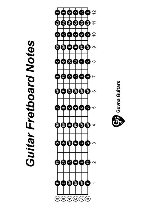 Printable Guitar Fretboard Notes Chart (.pdf) Basic Chords Guitar, Guitar Fretboard Notes, Basic Guitar Chords Chart, Guitar Notes Chart, Learn Electric Guitar, Fretboard Notes, Electric Guitar Chords, All Guitar Chords, Learn Acoustic Guitar