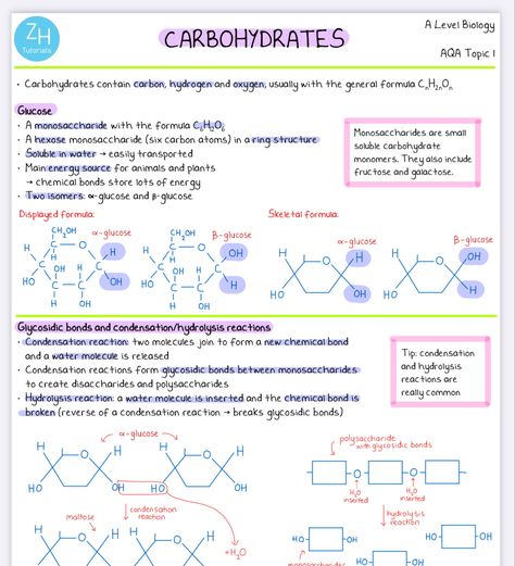 Ocr Biology A Level, Biological Molecules A Level, Btec Applied Science Level 3, Carbohydrates Notes Biology, Alevel Bio Notes, Gcse Biology Revision Notes Edexcel, As Level Biology, Ocr A Level Biology Notes, Aqa A Level Biology