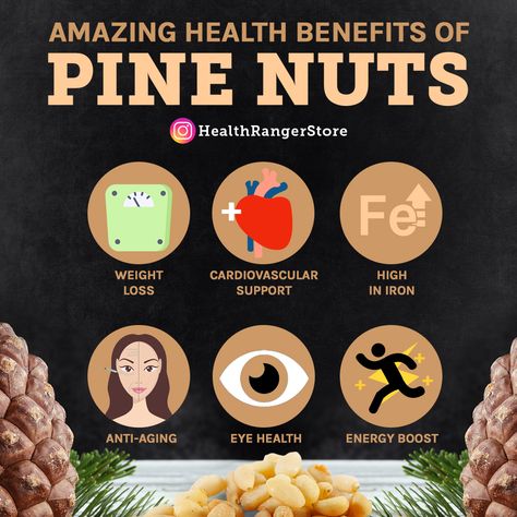 There are many reasons to eat pine nuts aside from the flavor, they're surprisingly good for your health. Wrinkle Repair, Hair Oil Serum, Personal Grooming, Eye Anti Aging, Cosmetics Skincare, Hair Control, Herbal Oil, Anti Dandruff, Beauty Cream