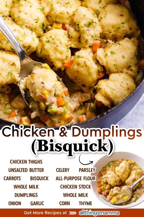 Chicken and dumplings is a classic comfort food dinner perfect for chilly evenings when you’re craving something hearty and satisfying! A creamy veggie-packed chicken stew is topped with fluffy dumplings made with Bisquick. Chicken And Dumplings For One, Dumplings Made With Bisquick, Chicken And Bisquick Dumplings, Bisquick Dumplings Recipe, Chicken Stew And Dumplings, Homemade Dumplings Recipe, Bird Recipes, Bisquick Chicken, Fluffy Dumplings