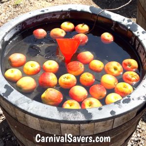 Fishing for apples game Fall Festival Games For Senior Citizens, Apple Bobbing Alternatives, Halloween Fishing Game, Fall Festival Church Games, Apple Bobbing Games For Kids, Apple Games For Kids, Apple Games For Adults, Bobbing For Apples Alternative, Church Festival Games