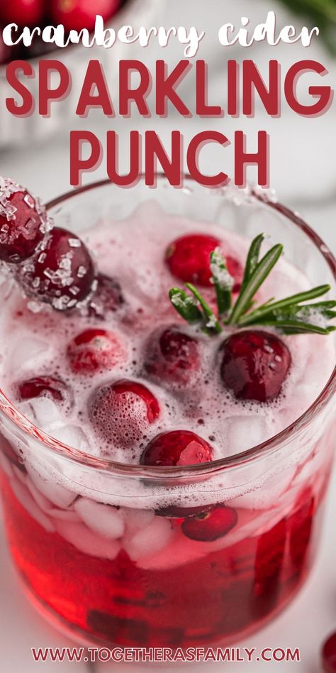 Sparkling Cranberry Apple Cider Punch, Sparkling Berry Punch, Punch With Cranberry Ginger Ale, Sparkling Grape Juice Punch, Punch With White Grape Juice, Cider Drinks Nonalcoholic, Christmas Cider Recipes, Sparkling Juice Non Alcoholic, Cranberry Sprite Punch