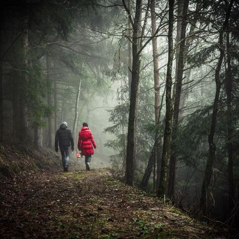 There’s Something Creepy In The Woods: 11 People Share Their Hair-Raising Real-Life Encounters | Thought Catalog Walking In Forest, Byron Katie Quotes, Person Walking, Night Walkers, Byron Katie, The Better Man Project, Thought Catalog, Hair Raising, Walk In The Woods