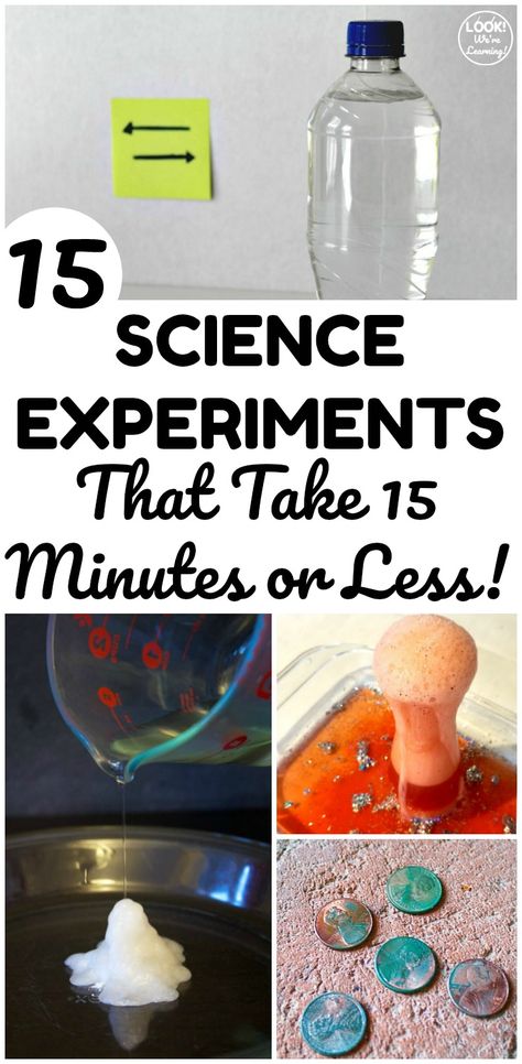 Experiments For First Grade, Easy Classroom Science Experiments, Easy Group Science Experiments, Simple Elementary Science Experiments, Science Experiments For First Grade, First Grade Science Experiments At Home, Jello Experiments For Kids, Easy First Grade Science Experiments, Kids Experiments At Home Simple