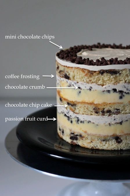 Momofuku Cake, Milk Bar Cake, Milk Bar Recipes, Passion Fruit Curd, Christina Tosi, Momofuku Milk Bar, Chocolate Crumbs, Chocolate Chip Cake, Milk Bar