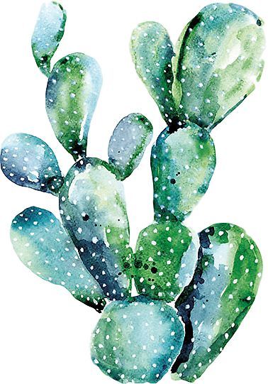 "Cactus" Stickers by Sydney Wilhelm | Redbubble Cactus Pictures, Succulent Painting, Cactus Poster, Cactus Stickers, Cactus Painting, Cactus Wall Art, Watercolor Cactus, Painting Quotes, Diy Oils