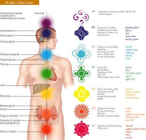 The Body’s Chakra System | Natural Energy Healing Energy Stones Crystal Healing, Secret Energy, Solar Plexus Chakra Healing, Chakra Healing Music, Chakra Chart, Kundalini Meditation, Chakra Healing Meditation, Chakra Health, Chakra Balance