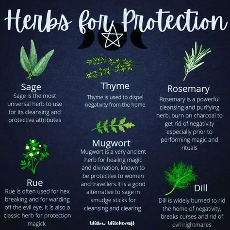 Herbs For Protection, Herbal Witch, Witchcraft Herbs, Magickal Herbs, Witch Herbs, Green Witchcraft, Witch Spirituality, Healing Magic, Grimoire Book