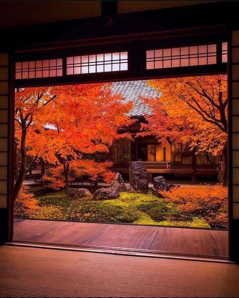 Tumblr, Japan In September, Autumn In Japan, Japan Autumn, Japan Interior, Japan Temple, Japan Garden, Japanese Temple, Japan Photography