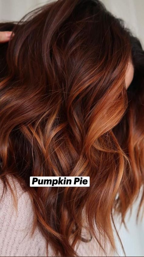 Haircolor Fall 2023, Dark To Red Ombre Hair, Cowboy Copper Hair Color Brunette, Autumn Hair Styles 2023, Dark Hair Copper Balayage, Auburn Summer Hair Color, Fall Hair Trends 2023 Brunette, Fall Hair Color Ideas 2023, Copper Hair With Black Roots