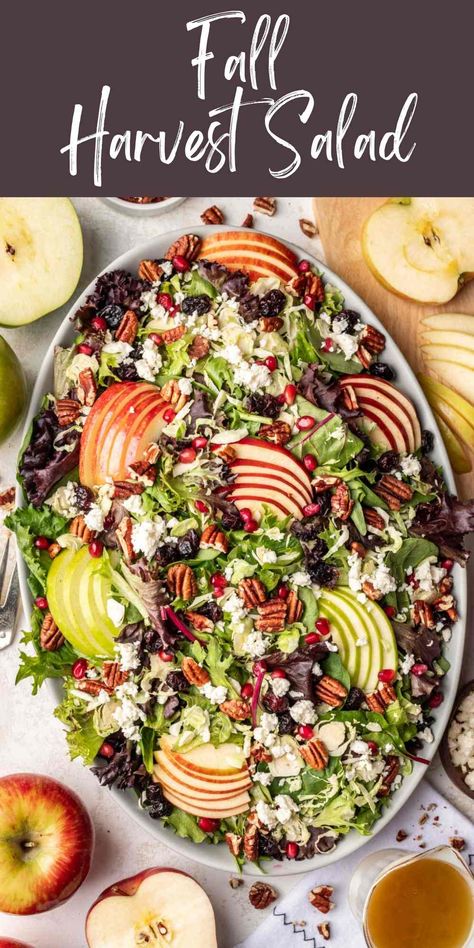 Autumn Chopped Salad With Apple Cider Vinaigrette, Fall Slaw Recipes, Fall Salad With Apples, Fall Chopped Salad Recipes, Rheumatoid Diet Recipes, Easy Salad For A Crowd, Fall Fruit Salad Recipes, Fall Dishes For Parties, Fall Salads For A Crowd