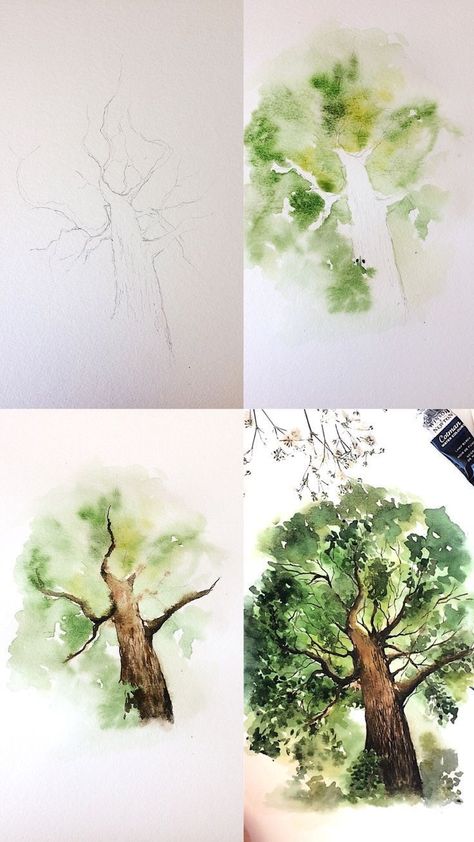 Toile Painting, Drawing Hands, Toile Art, Watercolor Painting Techniques, 수채화 그림, Watercolor Art Lessons, Watercolor Trees, Tree Drawing, Watercolour Tutorials