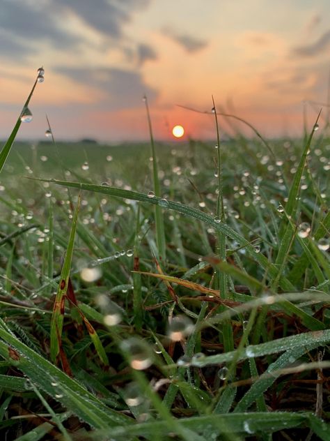 Texas Sunrise [OC] [1600x1200]  Click the link for this photo in Original Resolution.  If you have Twitter follow twitter.com/lifeporn5 for more cool photos.  Thank you author: https://bit.ly/3iiCNWn  Broadcasted to you on Pinterest by pinterest.com/sasha_limm  Have The Nice Life! Texas Sunrise, Diorama Ideas, Sunrise Landscape, Beautiful Profile Pictures, Alight Motion, Wallpaper Nature Flowers, National Photography, Beautiful Locations Nature, Art Prints Quotes