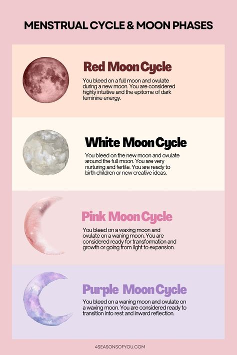 A guide On The Menstrual Cycle And Moon Phases Connection - ilik Red Moon Cycle, Cycle Synching, Moon Phases Meaning, The Moon Cycle, Menstrual Cycle Phases, Period Cycle, Lunar Magic, The Menstrual Cycle, The Moon Phases