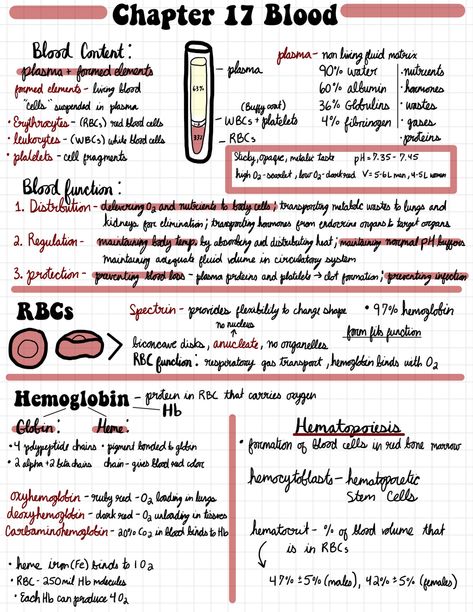 General Anatomy And Physiology, Heart Anatomy Notes Aesthetic, Anatomy Terminology Notes, Anatomy And Physiology 2 Study Tips, Cma Study Notes, Anatomy And Physiology Study Guide, Nursing Notes Anatomy And Physiology, Anatomy And Physiology Notes Study Cell, Ways To Study Anatomy And Physiology