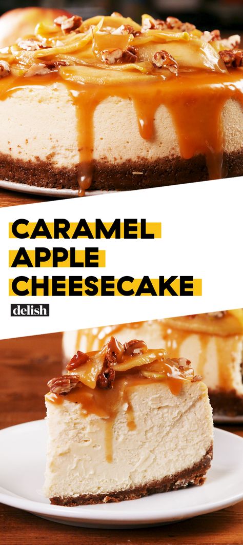 Caramel Apple Cheesecake literally tastes like fall thanks to the fresh apples. Get the recipe at Delish.com. #Delish #recipes #food #cheesecake #partyideas #cakeideas #cake #fall #fallfood #desserts #partyfood Caramel Apple Cheesecake Recipes, Apple Cheesecake Recipes, Cheesecake Caramel, Apple Cheesecake Bars, Caramel Apple Cheesecake Bars, Savory Cakes, Caramel Apple Cheesecake, Apple Cheesecake, Cake Mini