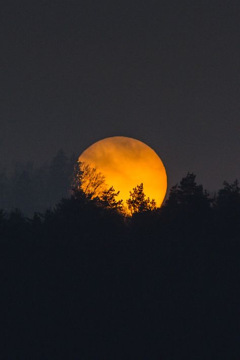 Sunset And Sunrise, Night Stars, Moonlit Sky, Luna Moon, Beautiful Moon, Harvest Moon, Stars At Night, Moon And Stars, Morning Images