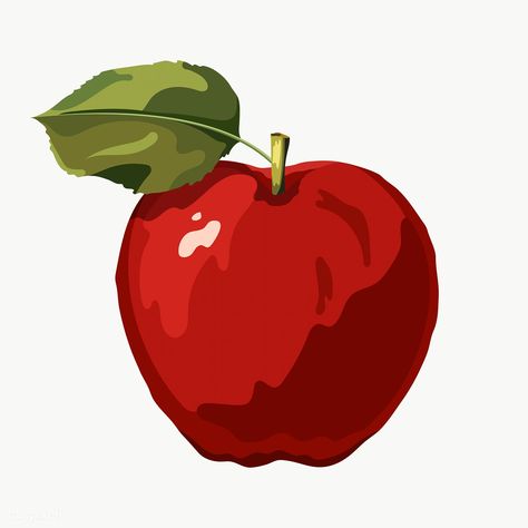 Red vectorized apple illustration sticker | free image by rawpixel.com / Aew Apple Vector Illustration, Apple Illustration Design, Apple Sketch, Apple Poster, Apple Drawing, Apple Sticker, Pineapple Illustration, Drawing Apple, Grafic Art