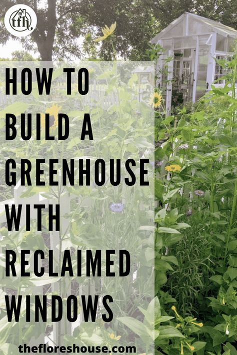 How to build a garden shed greenhouse with reclaimed windows and other materials! If you’re interested in building your own greenhouse but aren’t sure where to start, look no further than this guide on how to build the perfect DIY greenhouse with old windows and other recycled materials! #gardening #gardenprojects #gardendiy #upcycle #greenhouse Build Greenhouse From Old Windows, Greenhouses Made Out Of Old Windows, Small Greenhouse Diy Old Windows, Build A Greenhouse With Old Windows, Greenhouse Made From Old Windows Diy, Greenhouse Window Ideas, Reclaimed Windows Greenhouse, Repurposed Greenhouse Ideas, Greenhouse Of Old Windows