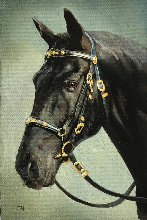 Horse Paintings Acrylic, Ahal Teke, Horse Canvas Painting, Horse Art Drawing, Regnul Animal, Horse Oil Painting, Horse Portrait, Horse Drawings, Equine Art