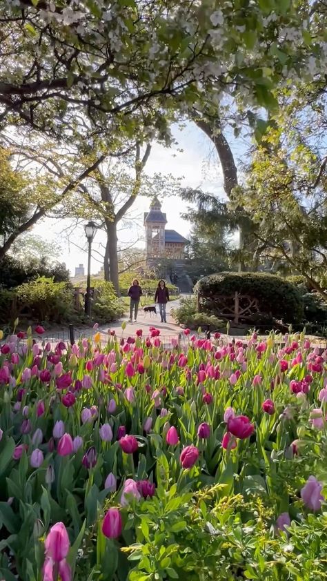 brittanyeliza.photo on Instagram: Welcome to Shakespeare Garden, one of my favorite spots in Central Park 🌸🌷🌼🌺 Shakespeare Garden, Central Park In Spring, Central Park Couple Aesthetic, Bethesda Terrace Central Park, Museum Marketing, Strawberry Fields Central Park, Shakespeare Garden Central Park, Central Park, Skyscraper