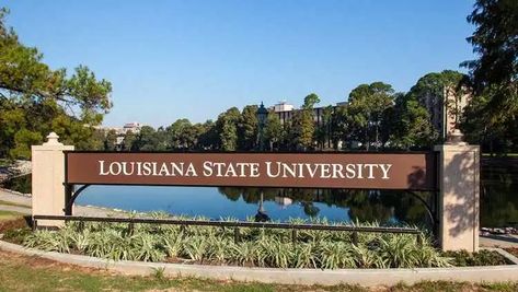 10 of the Easiest Classes at LSU - Humans of University Lsu Campus, Lsu University, Philosophy Major, Economic Systems, College Success, Existence Of God, Cell Biology, Louisiana State University, Marketing Concept