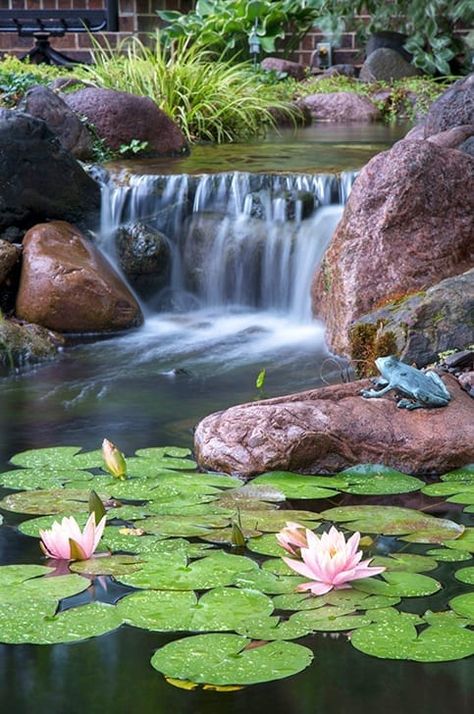 undefined Pond Paintings, Backyard Waterfall, Easy Pictures To Draw, Grass Weeds, Things To Paint, Water Gardens Pond, Koi Ponds, Pond Landscaping, Backyard Water Feature