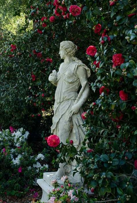 Moodboards Galore: Greek Mythology- Aphrodite Garden Art Sculptures Statues, Tomi Adeyemi, Istoria Artei, Landscape Plans, Garden Statue, Garden Art Sculptures, Gorgeous Gardens, Grand Art, French Inspired