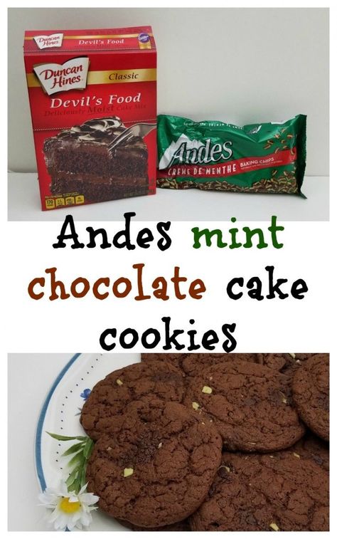 Quick And Easy Cookies, Cinnamon Christmas Cookies, Andes Mint Chocolate, How To Make Things, Mint Chocolate Cake, Andes Mint, Chocolate Cake Cookies, Boxed Cake, Cookie Cake Recipe