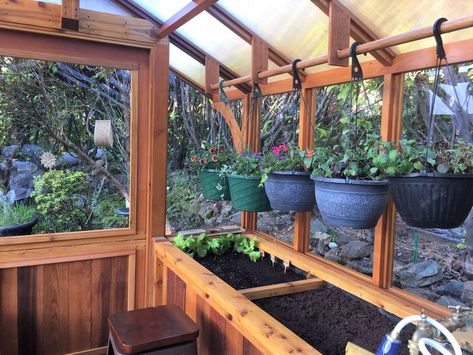 Options — Cedar-Built Greenhouses Greenhouse Extension, Greenhouse Ideas Interior Design, Greenhouse Organization, Backyard Greenhouse Ideas, Yard Greenhouse, Timber Porch, Garage Greenhouse, Greenhouse Interior, Greenhouse Shelves