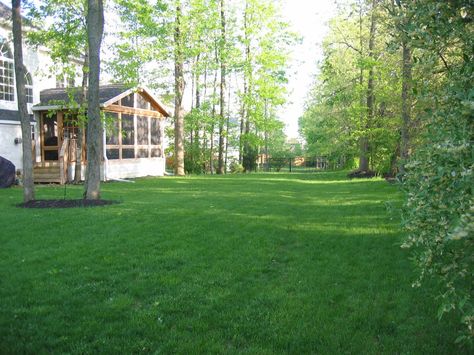 Big, open, shady backyard for all my dogs... Backyard Landscaping Country, Backyard For Dogs, Large Backyard Ideas, Large Backyard Landscaping, Backyard Layout, Big Backyard, Backyard Water Feature, Backyard Gazebo, Deck Designs Backyard