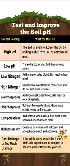 Soil Ph Test, Soil Test, Hydroponics Diy, Vertical Vegetable Garden, Vertical Herb Garden, Hydroponic Growing, Indoor Vegetable Gardening, Soil Testing, Garden Types