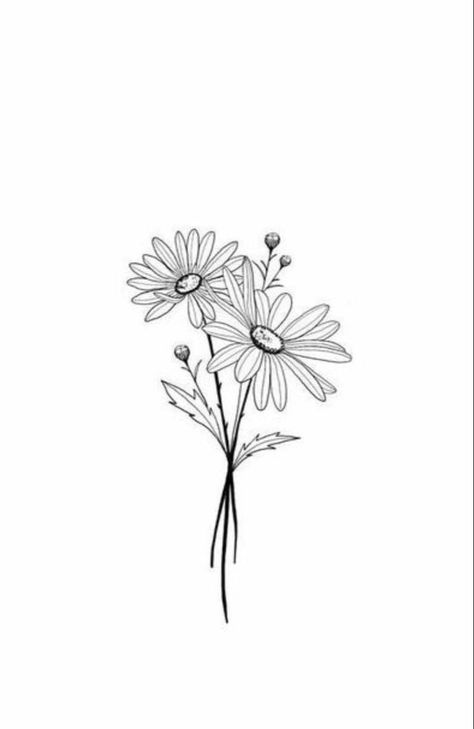 Hase Tattoos, Daisy Flower Art, Aster Tattoo, Aster Flower Tattoos, Daisy Tattoo Designs, Daisy Drawing, Daisy Flower Tattoos, Bouquet Tattoo, Daisy Tattoo