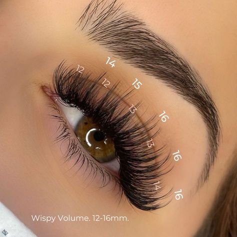 Natural Fake Eyelashes, Lash Extentions, Best Lash Extensions, Lashes Fake Eyelashes, Eyelash Technician, Eyelash Extensions Styles, Lash Extensions Styles, Perfect Eyelashes, Pretty Lashes