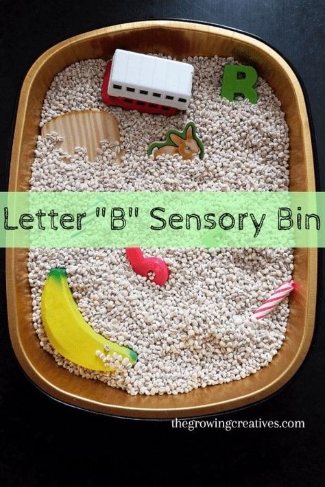 B Sensory Bin, Preschool Letter Activities, Sensory Bin Preschool, Preschool Letter B, Letter S Activities, Letter B Crafts, Letter B Activities, Letter Learning Activities, Letter Activities Preschool