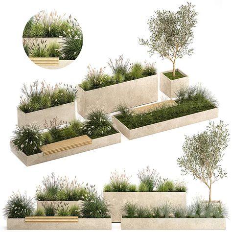 Download Link: https://3ds-max.org/plant/plants/collection-of-plants-for-the-urban-environment-with-a-flower-bed-a-bench-and-concrete-outdoor-flowerpots-bushes-and-grass-miscanthus-olive-tree-garden-1141-3d-model-free-download/ Olive Trees Garden, Urban Design Graphics, Landscape Architecture Design, Urban Environment, Plant Collection, Street Signs, Nature Decor, Flower Beds, Landscape Architecture