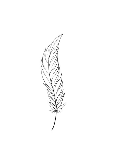 Small Feather Tattoo Behind Ear, Feather Line Tattoo, Fine Line Feather Tattoo Design, Simple Feather Tattoo Design, Fine Line Feather Tattoo, Feather Line Art, Plumas Tattoo, Feather Tattoo Drawing, Feather Hip Tattoos