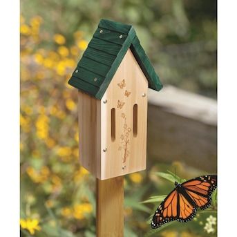 Woodlink 13.5-in H Tan Wood Variety Decorative Bird House in the Bird Houses department at Lowes.com Ladybug House, Wren House, Bluebird House, What Is A Bird, House Wood, Live Tree, Decorative Bird Houses, Bird Care, Butterfly House