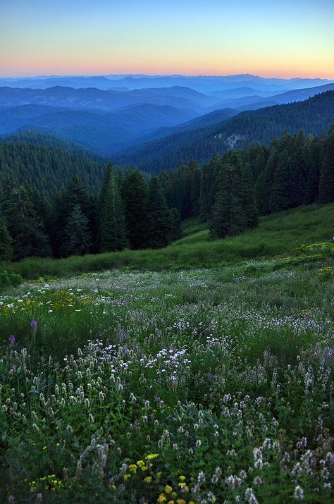 from Mt. Ashland, Oregon at dusk Oregon Mountains, Oregon Life, Ashland Oregon, Beautiful Oregon, Oregon Photography, Oregon Washington, State Of Oregon, Southern Oregon, Oregon Travel