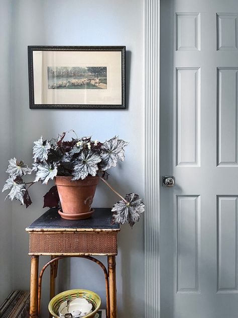 Dusty Paint Colors, Blue Paint Wood Trim, Dusty Blue Hallway, Chalky Blue Paint Color, Paintings In Bathroom, Two Tone Blue Room, Dusty Blue Accent Wall, Dusty Blue Mudroom, Mid Tone Paint Colors