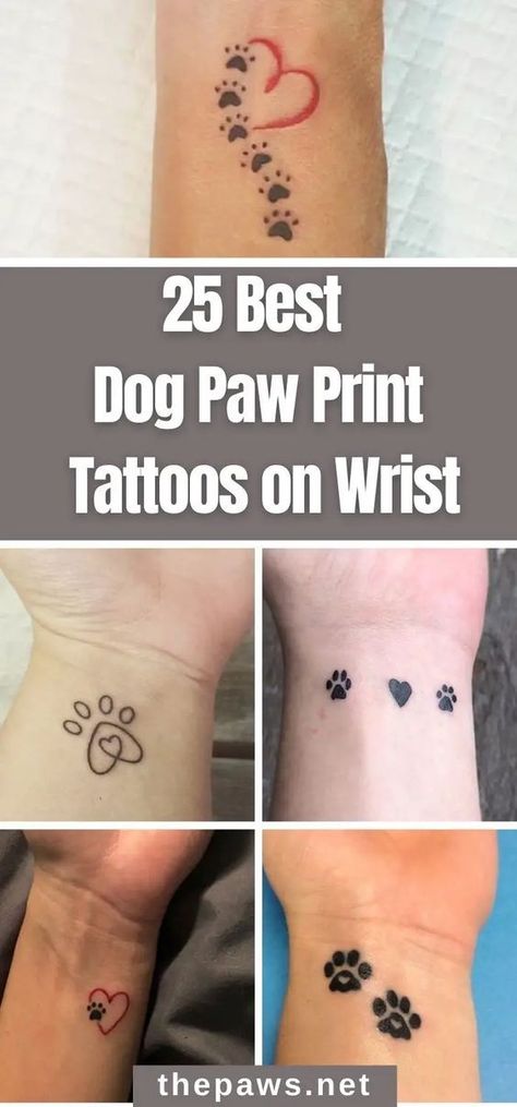 Small Tattoo Paw Prints, Dog Paw Print Tattoo Ideas For Women, Dog Paw Tattoo On Wrist, Cat Paw Print Tattoo On Wrist, Tattoo Pet Ideas, Small Tattoo Ideas For Dogs, Tattoos For Pet Lovers, Tiny Tattoos For Dog Lovers, Tattoos With Dog Paws