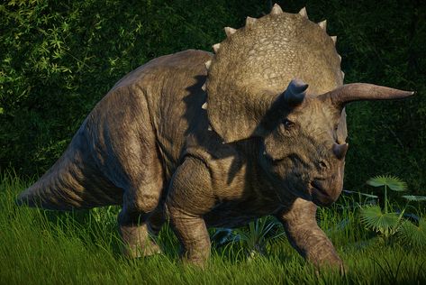 Triceratops | Jurassic World Evolution Wiki | FANDOM powered by Wikia Prehistoric Animals Dinosaurs, Jurassic World Evolution, Real Dinosaur, Jurassic Park 1993, Dinosaur Tattoos, Dinosaur Wallpaper, All Dinosaurs, Jurassic World Dinosaurs, The Good Dinosaur