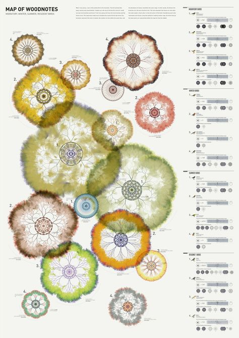 infographics, Organic Data Visualization, Creative Data Visualization Art, Best Data Visualization, Sound Data Visualization, Data Visualisation Art Design, Data Art Visualization, Visual Data Design, Sound Visualization Design, Data Visualization Design Creative