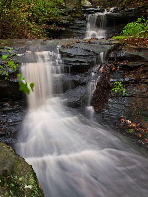 Stream along the Cedar Creek Trail, at Petit Jean State Park in Arkansas. I continued to putter around the park, and decided to drive over to the Cedar Falls Overlook. Even though the creek looked sadly low at the bridge, I was curious to see what the falls were like. Surprisingly, there was a small but decent amount of water flowing through. So there might be some waterfalls after all, perhaps? I made the quick drive over to the Cedar Creek trail, which is a short (only about a mile and a hal Petit Jean State Park, Cedar Creek, Summer Reading, Water Flow, The Bridge, State Park, Arkansas, The Park, State Parks