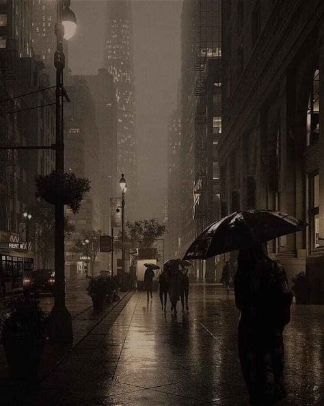 City Street, In The Rain, The Rain, At Night, Walking