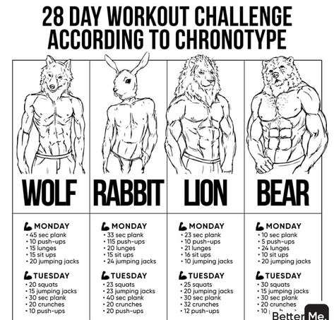 Workout Routine Plan, Total Body Workout Plan, Body Type Workout, Shoulder Workout At Home, Teen Workout Plan, Workout Plan For Men, Mma Workout, Best Gym Workout, Bodybuilding Workout Plan